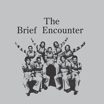 Disc de vinil Brief Encounter - Introducing The Brief Encounter (Reissue) (Smoky Mountain Grey Coloured) (LP) - 1