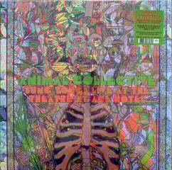 Disque vinyle Animal Collective - Sung Tongs Live At The Theatre At Ace Hotel (Reissue) (Anniversary Edition) (Neon Orange & Light Green Coloured) (2 LP)
