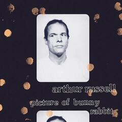 Vinylplade Arthur Russell - Picture Of Bunny Rabbit (LP)