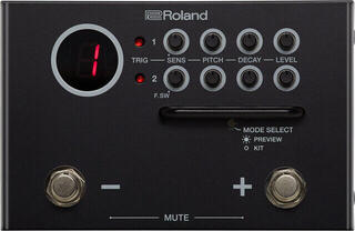 Module Roland TM-1 Module