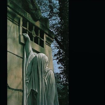 LP ploča Dead Can Dance - Within the Realm of a Dying Sun (Reissue) (LP) - 1