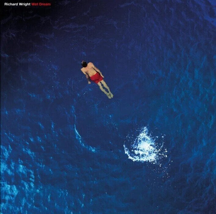 LP plošča Richard Wright - Wet Dream (Blue Marbled Coloured) (Limited Edition) (Reissue) (Remastered) (LP)