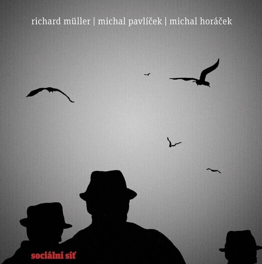 Hanglemez Richard Müller - Socialní síť (LP)