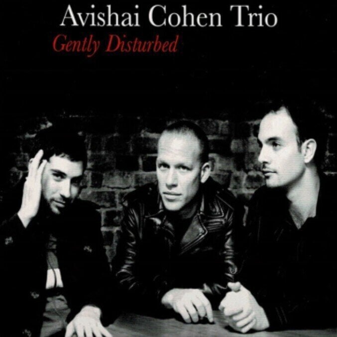 LP ploča Avishai Cohen - Gently Disturbed (LP)
