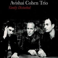 LP ploča Avishai Cohen - Gently Disturbed (LP)