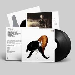 LP deska Coil - Black Antlers (Reissue) (2 LP)