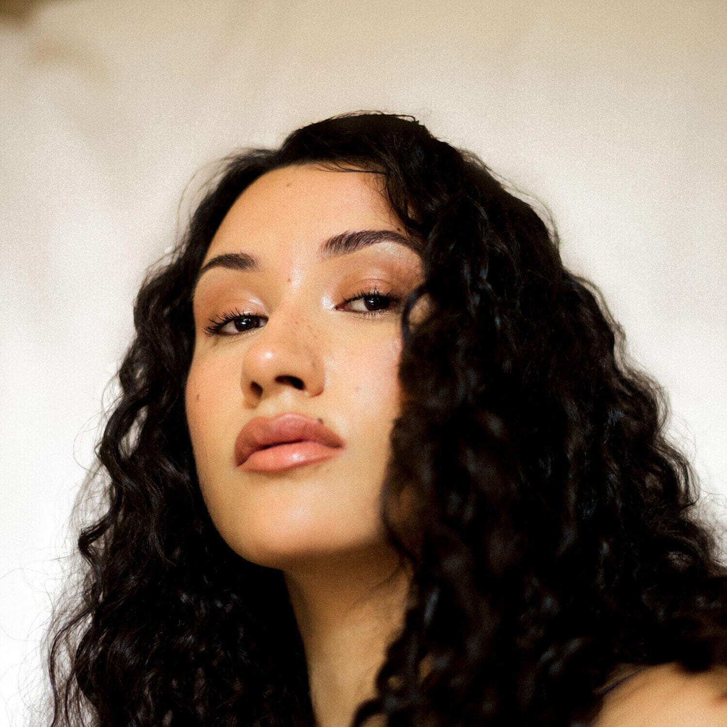 Δίσκος LP Cleo Sol - Rose In The Dark (LP)