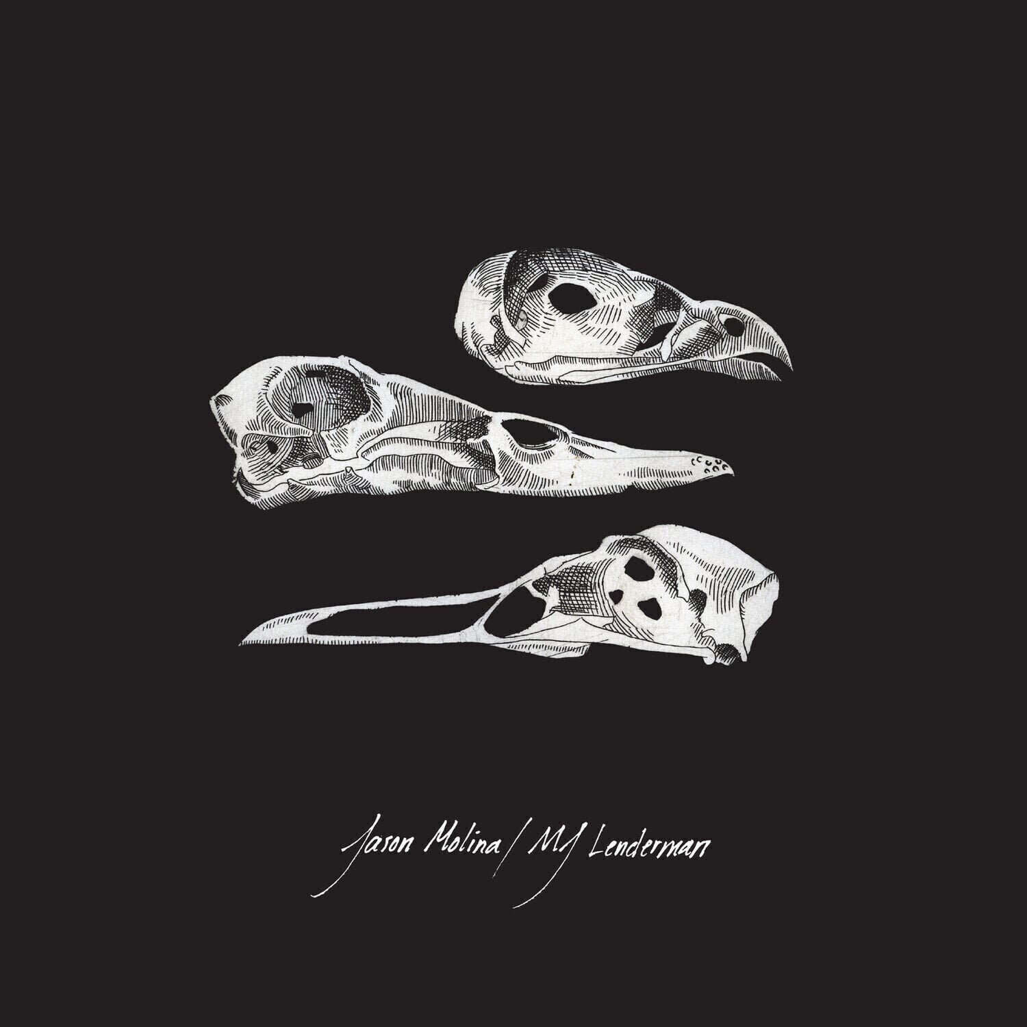 LP ploča Jason Molina / MJ Lenderman - Last Three Human Words (Demo) / Just Be Simple (LP)