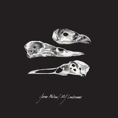 Disc de vinil Jason Molina / MJ Lenderman - Last Three Human Words (Demo) / Just Be Simple (LP)