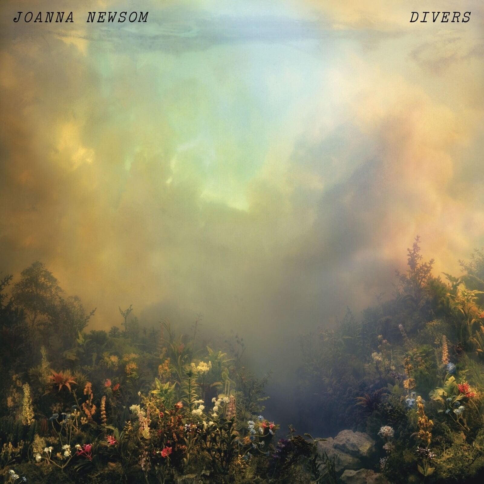 Hanglemez Joanna Newsom - Divers (2 LP)
