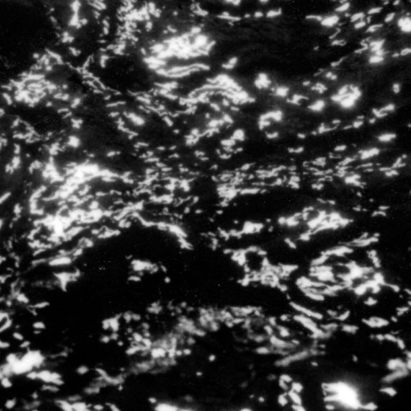 LP ploča Grouper - A I A : Dream Loss (Reissue) (LP)