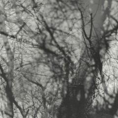 LP ploča Grouper - Way Their Crept (Reissue) (LP)