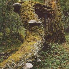 Δίσκος LP Jan Jelinek - Kosmischer Pitch (Reissue) (LP)