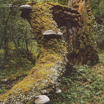 LP ploča Jan Jelinek - Kosmischer Pitch (Reissue) (LP) - 1