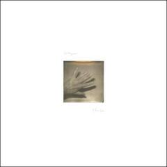 Disc de vinil Grouper - Shade (LP)