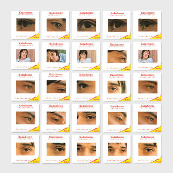 Disc de vinil John Cale - The Academy In Peril (Reissue) (LP) - 1