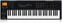 MIDI toetsenbord Behringer Motör 61