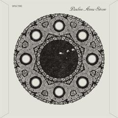 LP ploča Pauline Anna Strom - Spectre (Reissue) (LP)