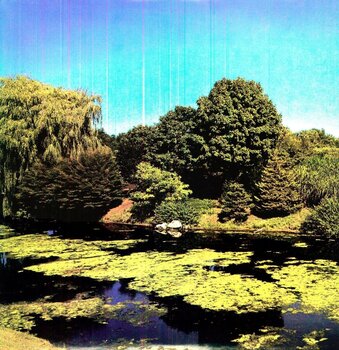 LP ploča Shellac - Terraform (180 g) (LP) - 1