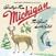 Disc de vinil Sufjan Stevens - Greetings From Michigan / The Great Lake State (2 LP)