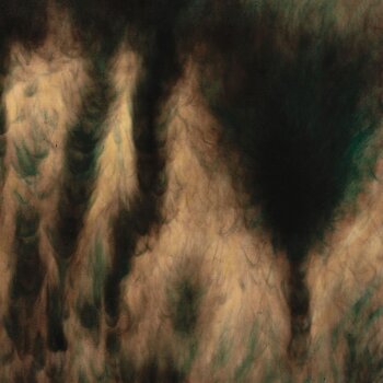 LP platňa William Basinski - Lamentations (2 LP) - 1