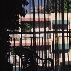 Disque vinyle Section 25 - Dark Light (Reissue) (Limited Edition) (Crystal Clear Coloured) (LP)