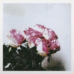 Vinylplate Minuano - Love Logic (Reissue) (Clear Purple Coloured) (LP)