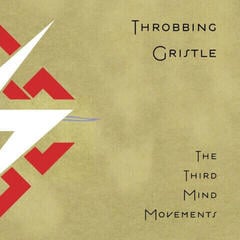 Vinyylilevy Throbbing Gristle - The Third Mind Movements (Reissue) (2 LP)