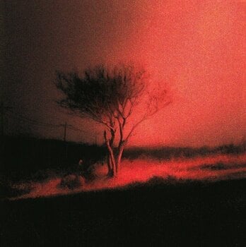 LP ploča Joji - Piss In The Wind (LP) - 1