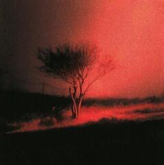 Music CD Joji - Piss In The Wind (CD)