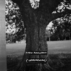 LP ploča Archy Marshall - New Place 2 Drown (Instrumentals) (LP)