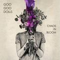 Goo Goo Dolls - Chaos In Bloom (LP)