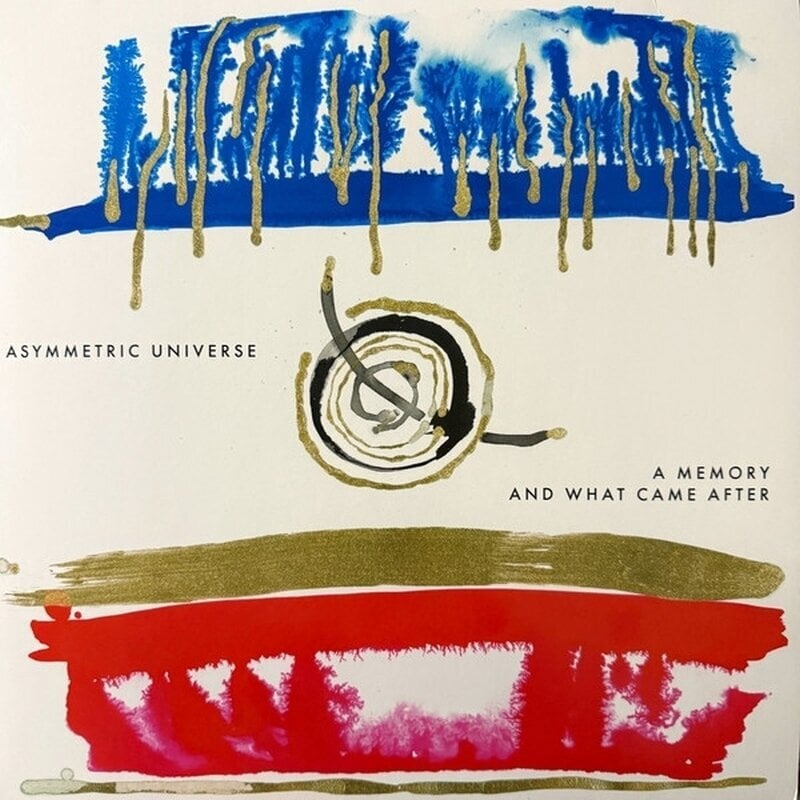 LP ploča Asymmetric Universe - A Memory And What Came After (Limited Edition) (Transparent Blue-Black Marbled Transparent Coloured) (LP)