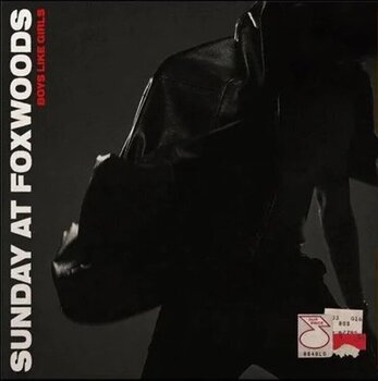 Disc de vinil Boys Like Girls - Sunday At Foxwoods (Orange Transparent Coloured) (180 g) (LP) - 1