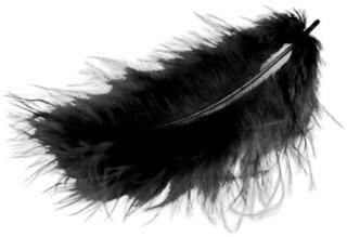 Material Meyco 24010 Feathers Black
