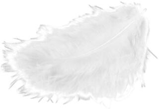 Material Meyco 24001 Feathers White