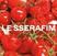 Disc de vinil Le Sserafim - 1st Single Album ‘SPAGHETTI’ Vinyl: TOMATO RED Version (LP)