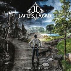 LP ploča James Labrie - Beautiful Shade Of Grey (180 g) (LP + CD)