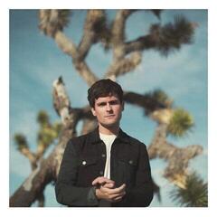 LP ploča Tom Speight - Everything's Waiting For You (LP)