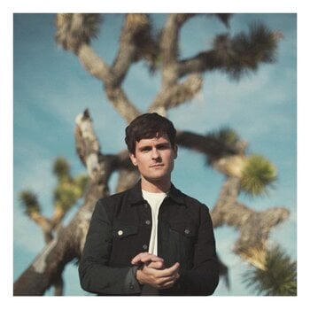 LP ploča Tom Speight - Everything's Waiting For You (LP) - 1