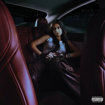 LP ploča Natalie Jane - Sick To My Stomach (Silver Metallic Coloured) (12'' EP) - 1