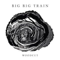 LP ploča Big Big Train - Woodcut (Limited Edition) (2 LP)