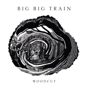 LP deska Big Big Train - Woodcut (Limited Edition) (2 LP) - 1