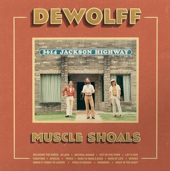 Грамофонна плоча Dewolff - Muscle Shoals (Orange Marble Coloured) (2 LP) - 1