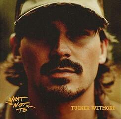 LP ploča Tucker Wetmore - What Not To (2 LP)