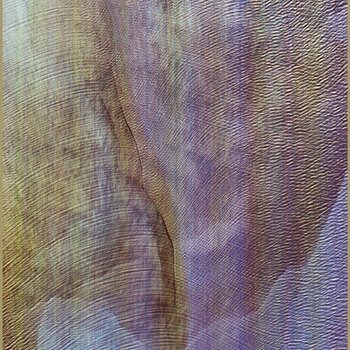 LP ploča Akron/Family - Sub Verses (45 RPM) (2 LP) - 1