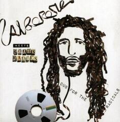 LP platňa Alborosie Meets Root Radics - Dub For The Radicals (LP)