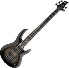 E-Bass ESP LTD B-205D Black Burst E-Bass