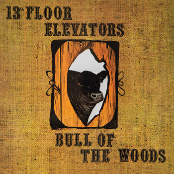 LP ploča 13Th Floor Elevators - Bull Of The Woods (Reissue) (Half-Speed Mastered) (LP) - 1
