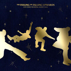 Schallplatte 5 Seconds Of Summer - The Feeling Of Falling Upwards (Live From The Royal Albert Hall) (2 LP)